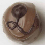 Raspberry Truffle