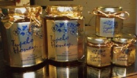 Tupelo Honey from Margaretes Fine  Chocolates in Tupelo MS